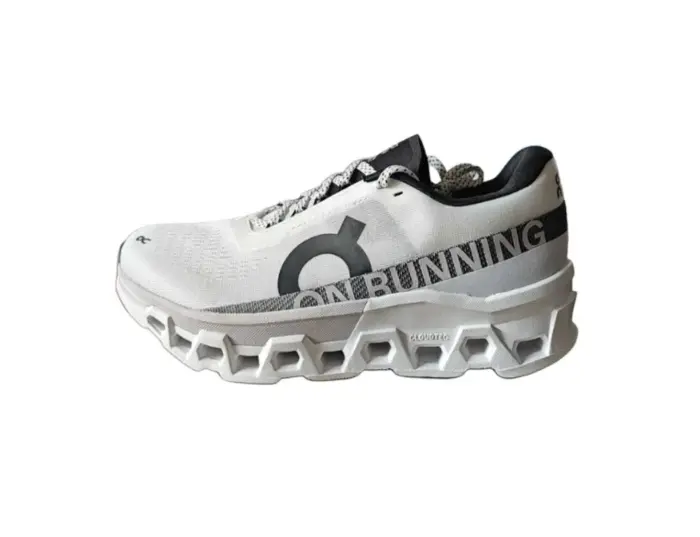 On Running CloudmOnster 2 Undyed Frost